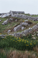 http://klausfroehlich.de/files/gimgs/th-146_700_1990_Irland_087.jpg